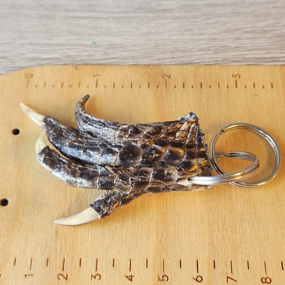 Aligator Unique Claw Keychain Double Key Rings - Picture 2 of 6